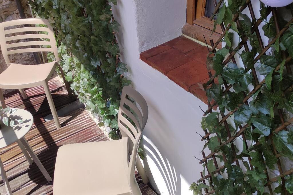 L'envol Appartement Orléans